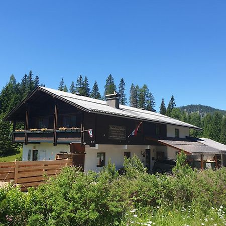 Ferienhaus Schaefer - Apartments - Wintersports - Family Holiday - Holiday With Your Dog - Rural & Scenic Flattnitz Екстер'єр фото