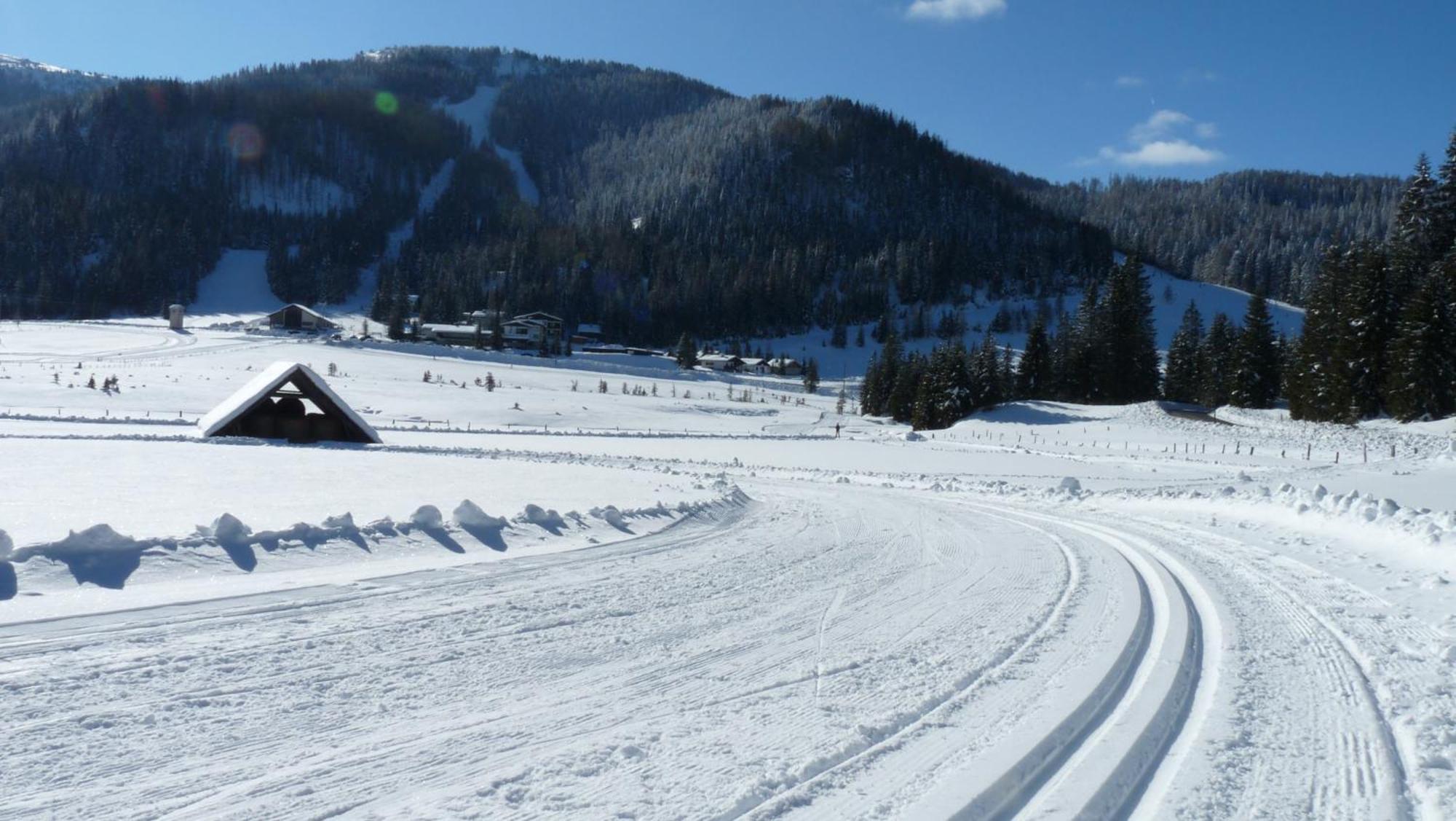 Ferienhaus Schaefer - Apartments - Wintersports - Family Holiday - Holiday With Your Dog - Rural & Scenic Flattnitz Екстер'єр фото