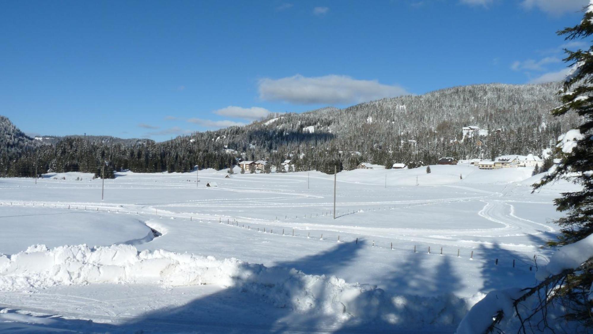 Ferienhaus Schaefer - Apartments - Wintersports - Family Holiday - Holiday With Your Dog - Rural & Scenic Flattnitz Екстер'єр фото