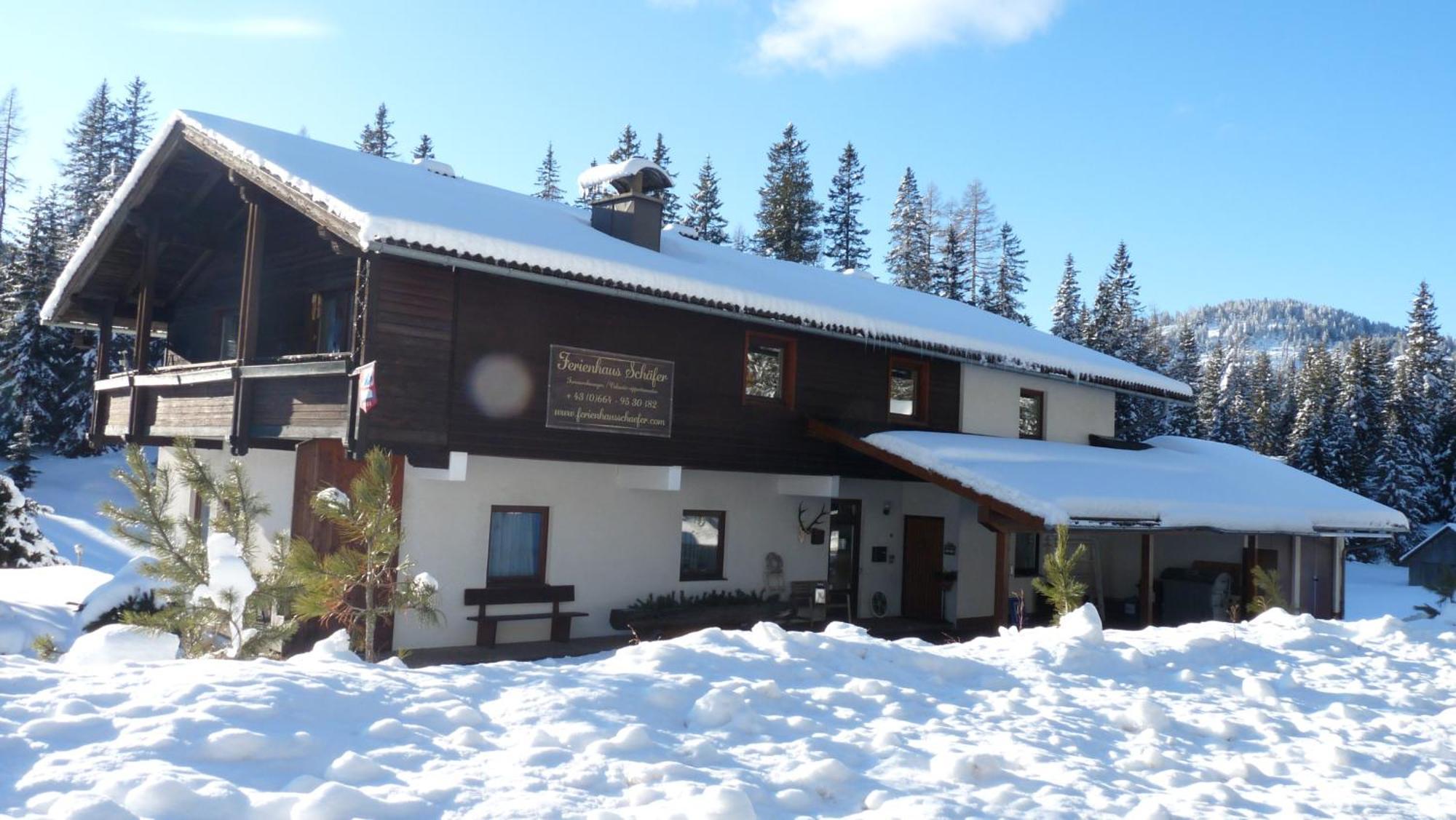 Ferienhaus Schaefer - Apartments - Wintersports - Family Holiday - Holiday With Your Dog - Rural & Scenic Flattnitz Екстер'єр фото