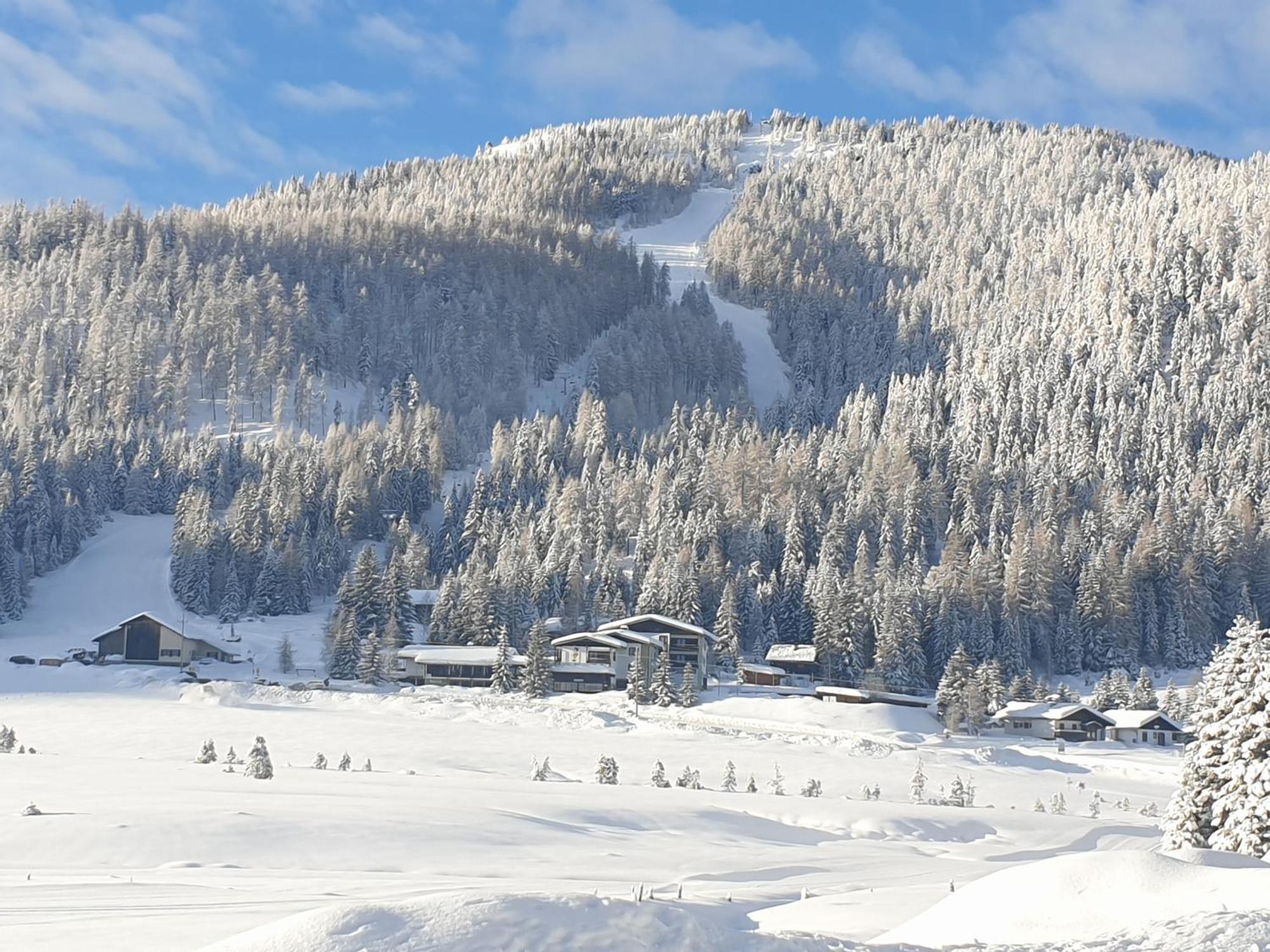 Ferienhaus Schaefer - Apartments - Wintersports - Family Holiday - Holiday With Your Dog - Rural & Scenic Flattnitz Екстер'єр фото