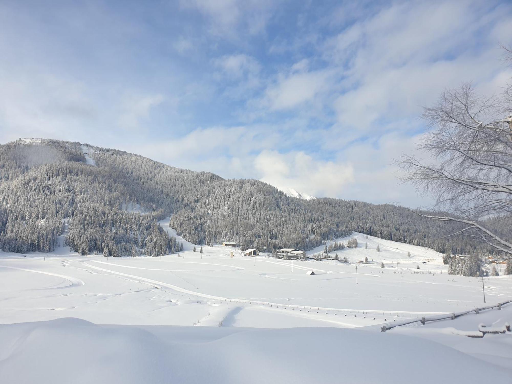 Ferienhaus Schaefer - Apartments - Wintersports - Family Holiday - Holiday With Your Dog - Rural & Scenic Flattnitz Екстер'єр фото