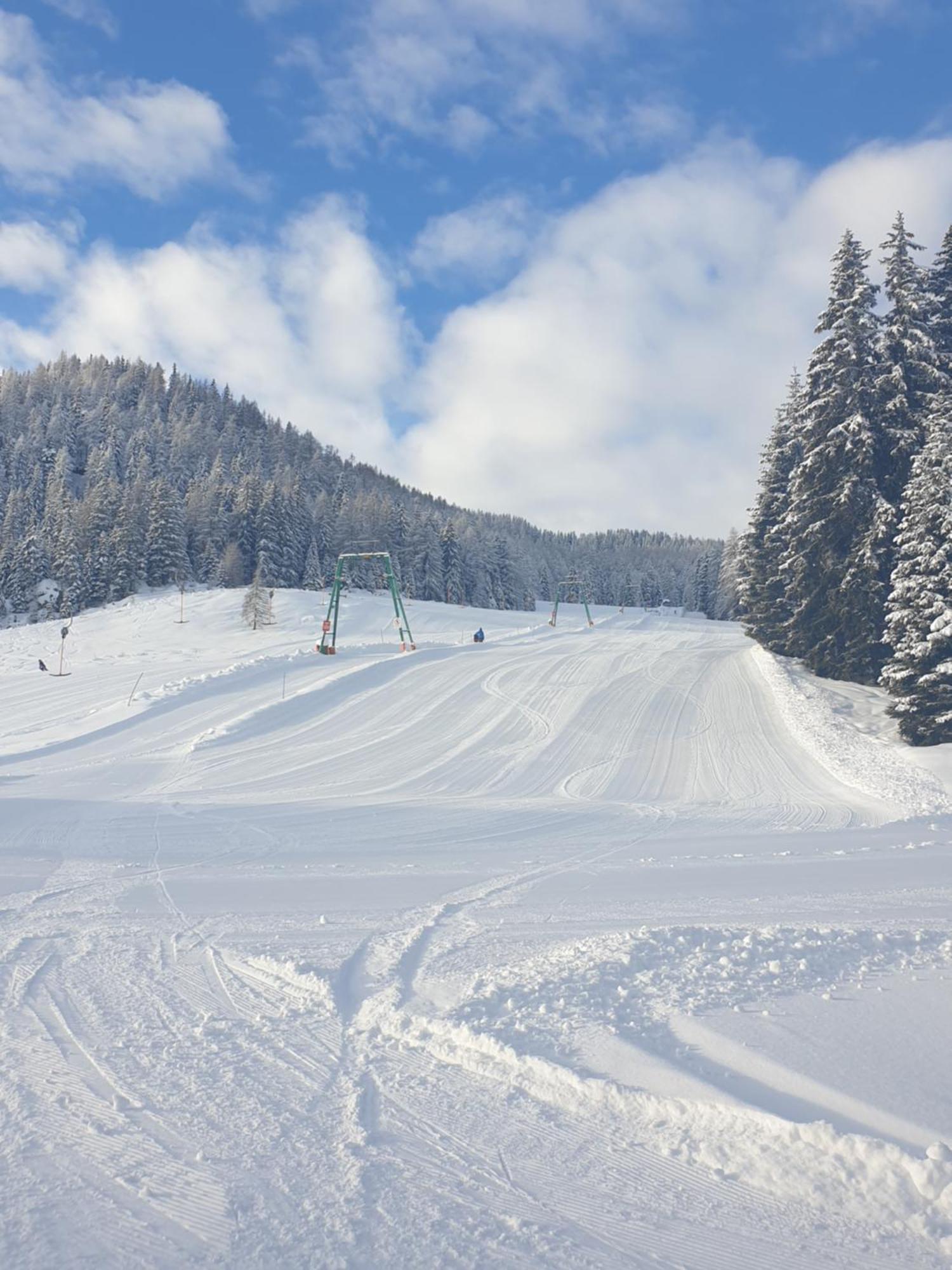 Ferienhaus Schaefer - Apartments - Wintersports - Family Holiday - Holiday With Your Dog - Rural & Scenic Flattnitz Екстер'єр фото