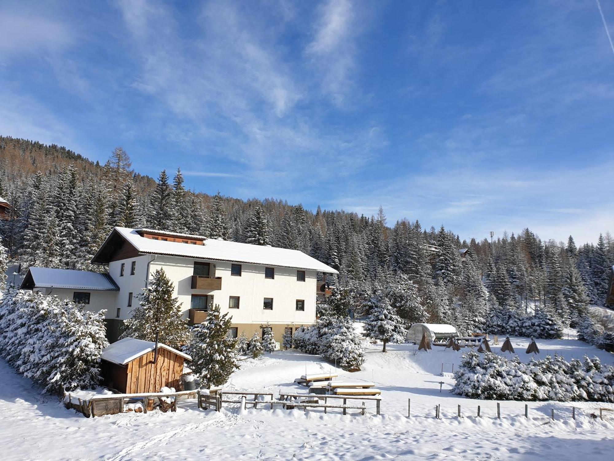Ferienhaus Schaefer - Apartments - Wintersports - Family Holiday - Holiday With Your Dog - Rural & Scenic Flattnitz Екстер'єр фото
