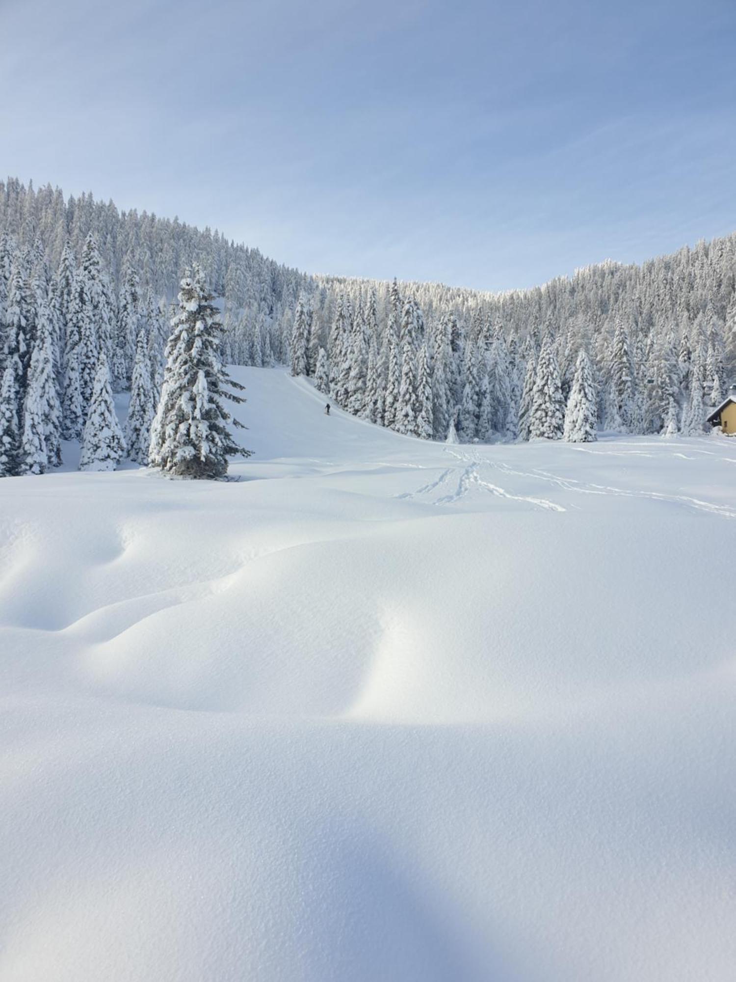 Ferienhaus Schaefer - Apartments - Wintersports - Family Holiday - Holiday With Your Dog - Rural & Scenic Flattnitz Екстер'єр фото