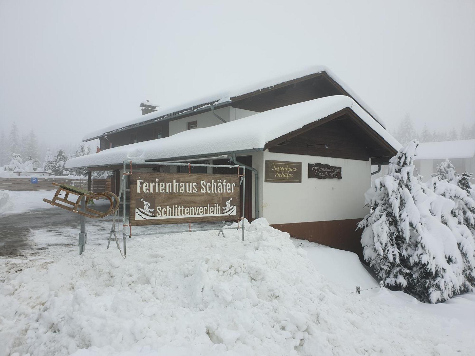 Ferienhaus Schaefer - Apartments - Wintersports - Family Holiday - Holiday With Your Dog - Rural & Scenic Flattnitz Екстер'єр фото