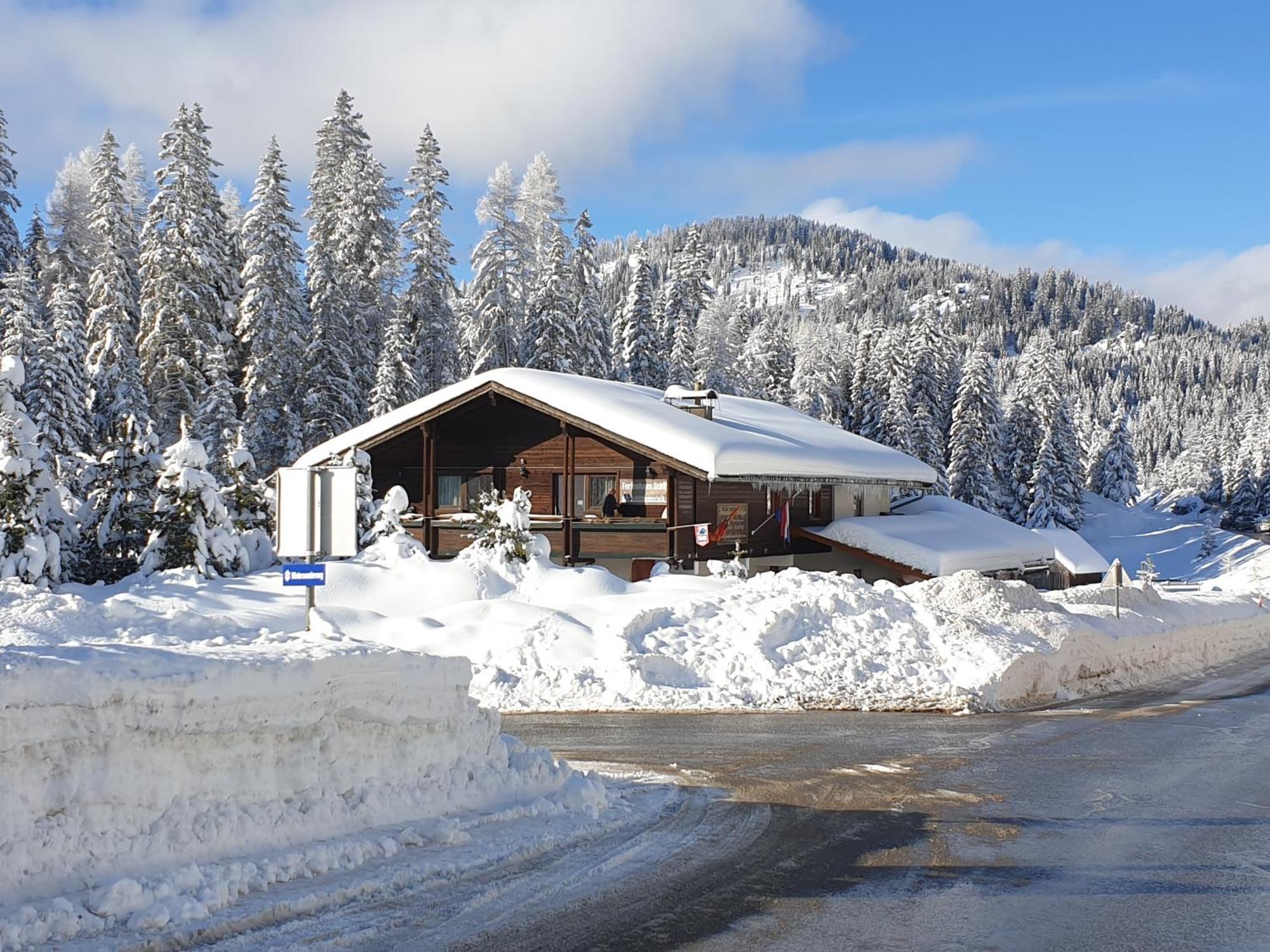 Ferienhaus Schaefer - Apartments - Wintersports - Family Holiday - Holiday With Your Dog - Rural & Scenic Flattnitz Екстер'єр фото