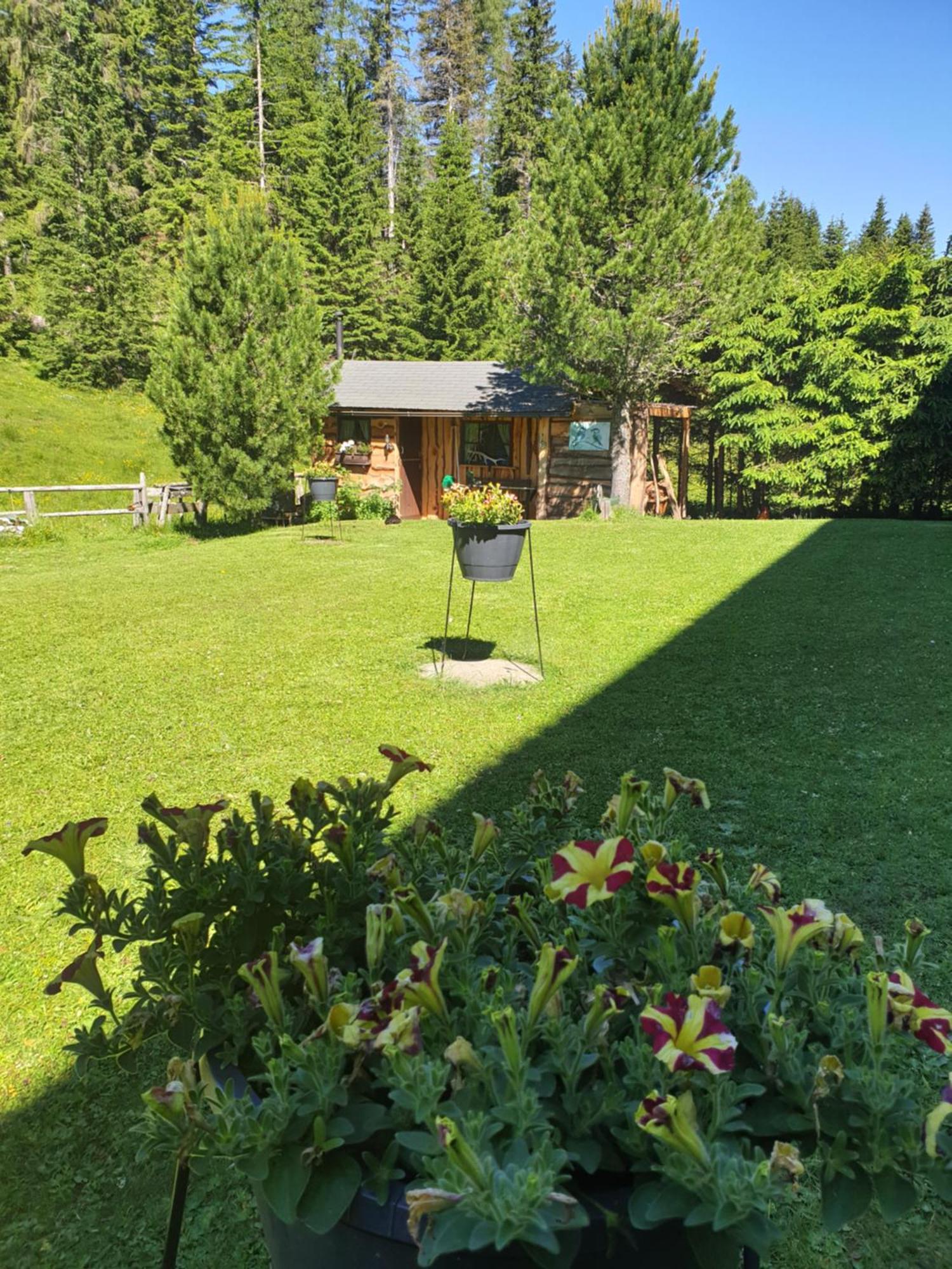 Ferienhaus Schaefer - Apartments - Wintersports - Family Holiday - Holiday With Your Dog - Rural & Scenic Flattnitz Екстер'єр фото