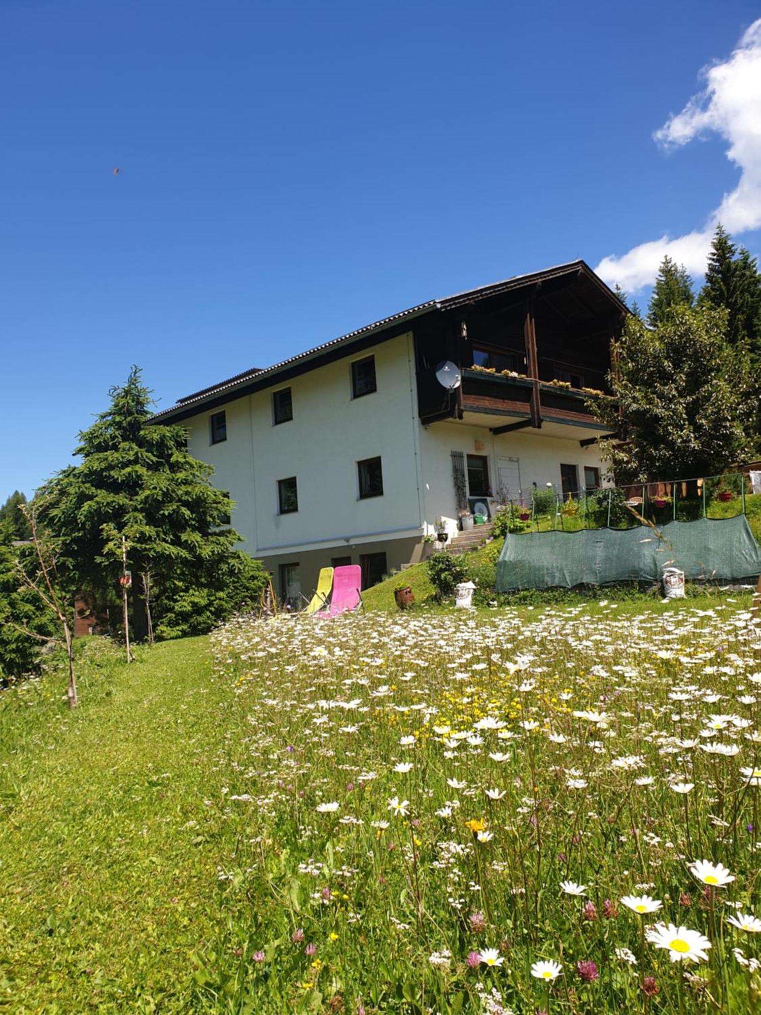 Ferienhaus Schaefer - Apartments - Wintersports - Family Holiday - Holiday With Your Dog - Rural & Scenic Flattnitz Екстер'єр фото