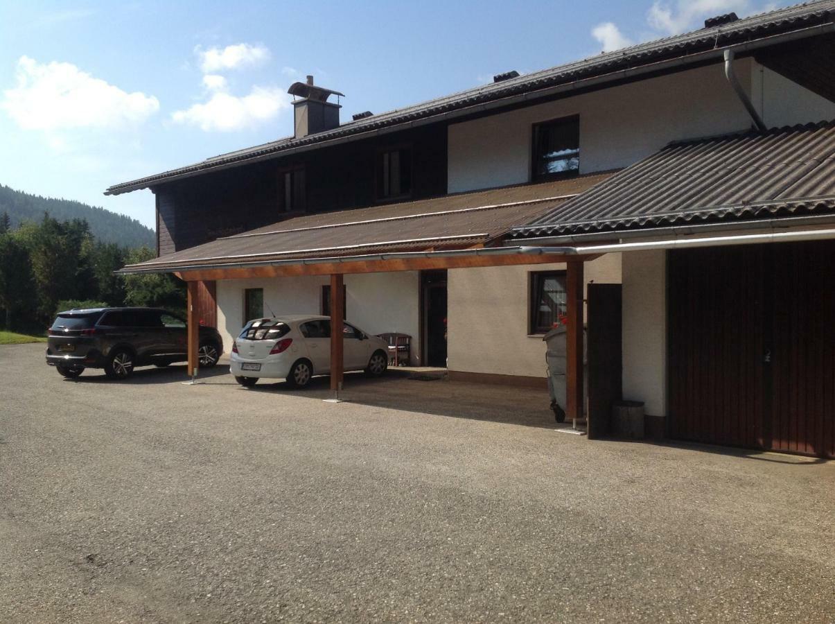 Ferienhaus Schaefer - Apartments - Wintersports - Family Holiday - Holiday With Your Dog - Rural & Scenic Flattnitz Екстер'єр фото