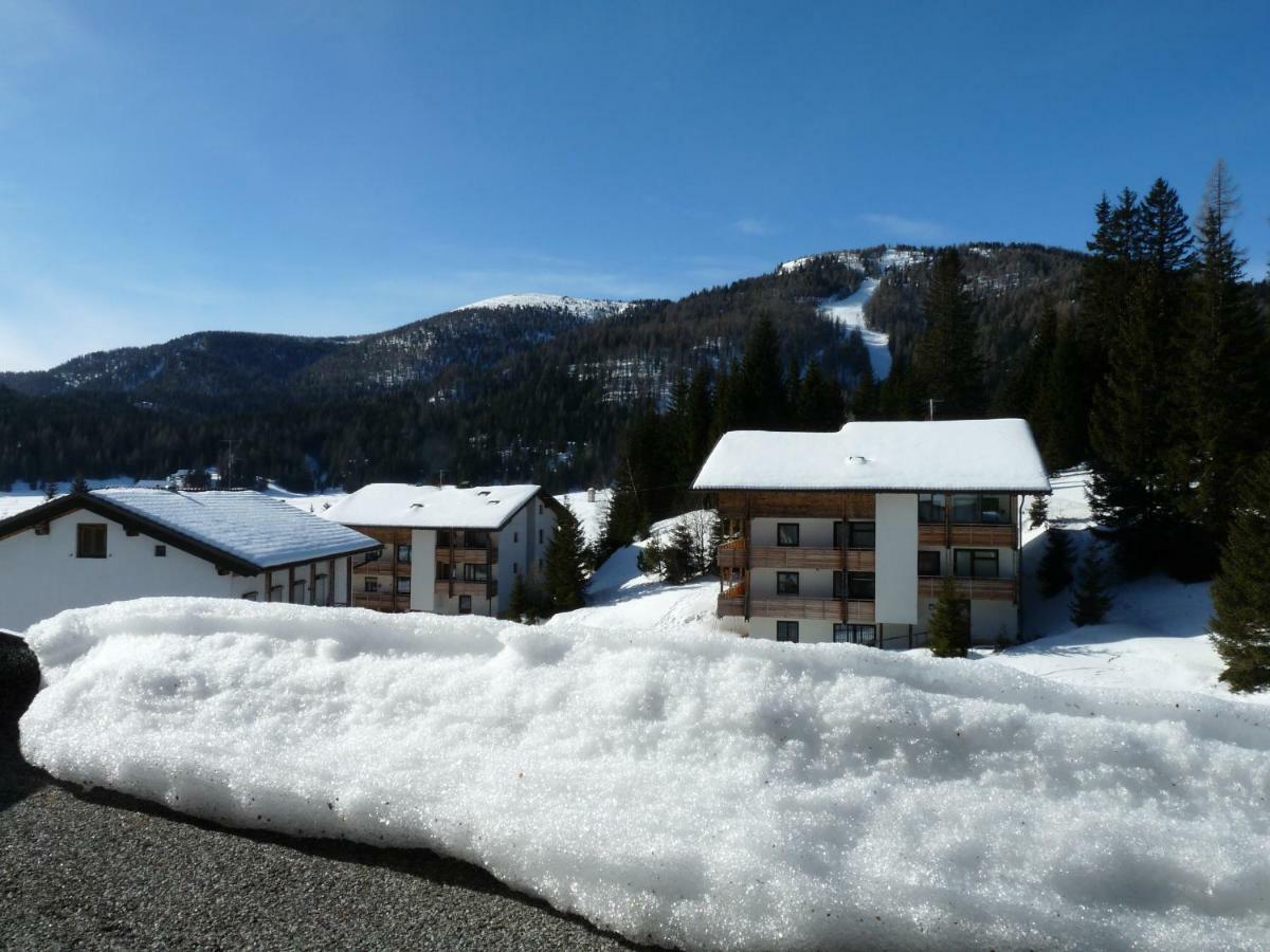 Ferienhaus Schaefer - Apartments - Wintersports - Family Holiday - Holiday With Your Dog - Rural & Scenic Flattnitz Екстер'єр фото