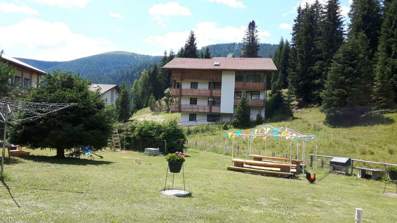 Ferienhaus Schaefer - Apartments - Wintersports - Family Holiday - Holiday With Your Dog - Rural & Scenic Flattnitz Екстер'єр фото